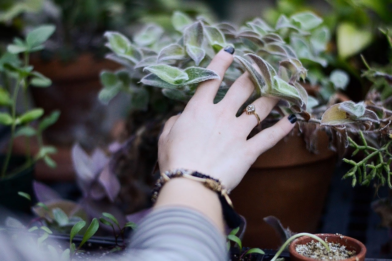 The Top Designer Jewelry Brands for the New Year The Top Designer Jewelry Brands for the New Year