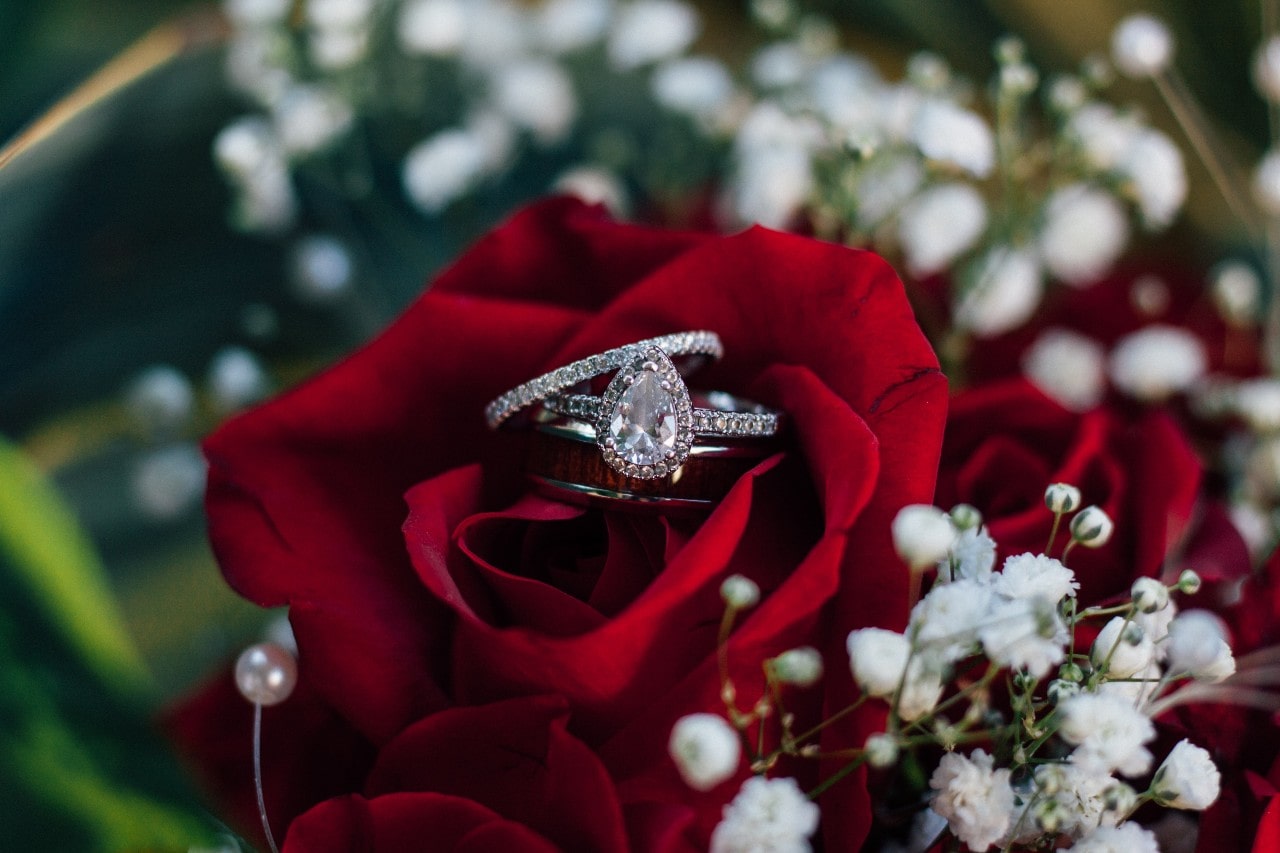 A halo pear cut diamond engagement ring with a wedding bands on a rose.